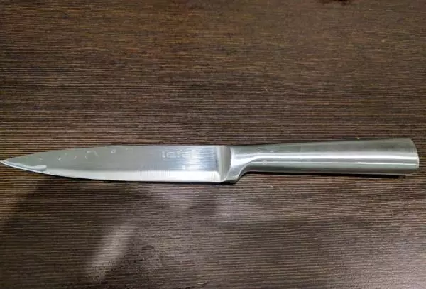 Knives Tefal: Kacida knives dapur, panjelasan kaahlian sareng séri sanés. Ulasan pelanggan 23462_13