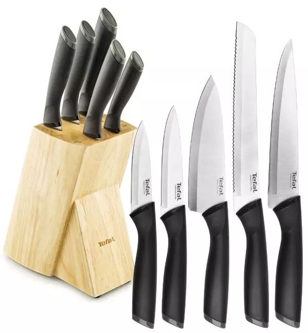 Knives Tefal: Kacida knives dapur, panjelasan kaahlian sareng séri sanés. Ulasan pelanggan 23462_15