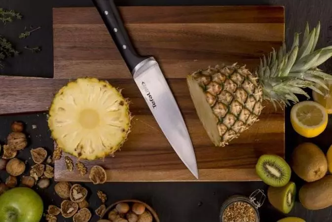 Knives Tefal: Kacida knives dapur, panjelasan kaahlian sareng séri sanés. Ulasan pelanggan 23462_18