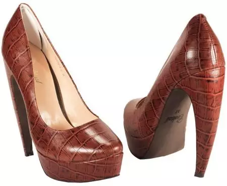 Crocodile ფეხსაცმელი (62 ფოტო): რა უნდა ატაროს ქალი მოდელები კანის ქვეწარმავალი და crocodile 2346_42