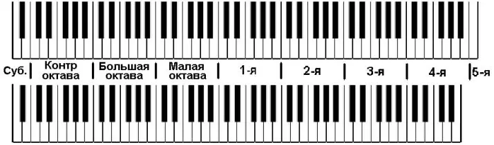 Com tocar el piano? Com aprendre el joc al piano en números? Lliçons i joc de formació per a piano des de zero per a principiants a casa 23515_6