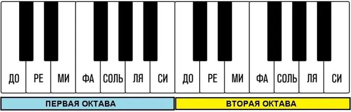 Com tocar el piano? Com aprendre el joc al piano en números? Lliçons i joc de formació per a piano des de zero per a principiants a casa 23515_7