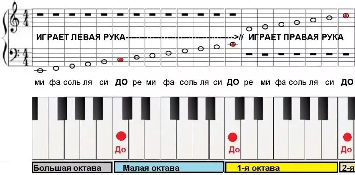 Yaya za a kunna Piano? Ta yaya za a koyan wasan a kan Piano a cikin lambobi? Darasi da wasan horo don Piano daga sifili don masu farawa a gida 23515_9