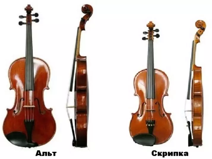 Que é diferente do violín? 7 diferenzas fotográficas de instrumentos musicais. Que é máis e que menos? 23516_2