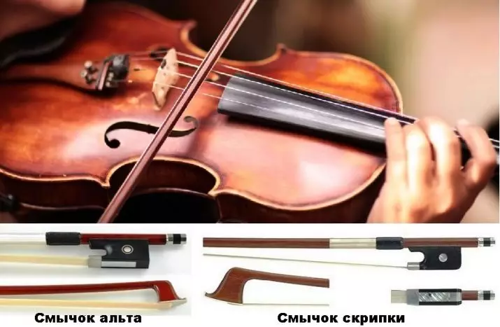 Wat verskil van viool? 7 foto verskille van musiekinstrumente. Wat is meer en wat minder? 23516_3
