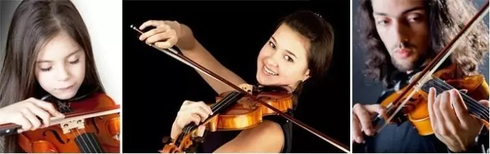 Çfarë është ndryshe nga violina? 7 Dallimet e fotografive të instrumenteve muzikore. Çfarë është më shumë dhe çfarë më pak? 23516_7