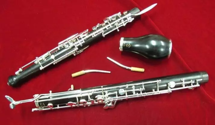 Horn Inglês (6 fotos): Como o instrumento musical soa? Com o que se parece? Jogo de técnica 23529_3