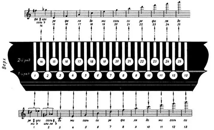 Spiller Harmonica: Sådan lærer du at spille Harmony? Lektioner og læring fra bunden på tallene alene, ordningerne for begyndere 23533_8