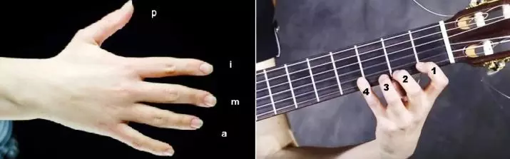 Necə gitara barmaqlarını saxlamaq üçün? Boy və başqa oyun saxlamaq üçün necə 6 şəkil? Otaqlar və belirtme. strings thumb və qız mövqeyi 23547_4