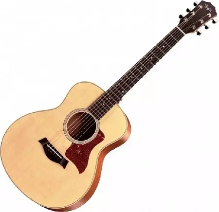 De ce aveți nevoie de puncte pe garnitura chitara? Ce înseamnă marcaje albe pe o durere de chitară? Cum să-i faci singur? 23564_3