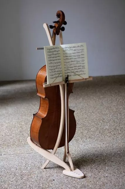 Cello joc: Com aprendre a tocar? difícil aprenentatge? Com mantenir cello? Classes per a principiants a partir de zero 23565_5