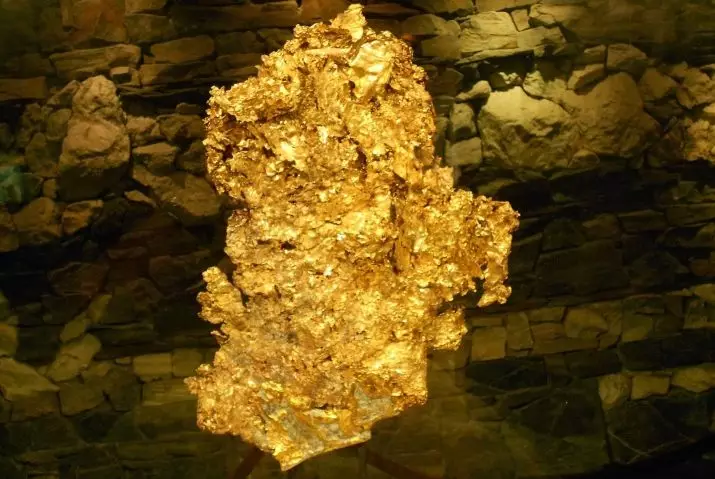 nuggets Gold (26 photos): emas asli paling gedhé ing donya lan ing Rusia. Apa nuggets katon ing alam lan ngendi digunakake? 23644_20