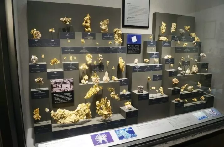 Gold Nuggets (26 zdjęć): największe rodzime złoto na świecie iw Rosji. Co wyglądają na bryłki w przyrodzie i gdzie są używane? 23644_22