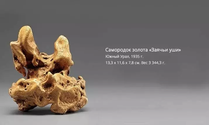 Gold Nuggets (26 fotografii): Cel mai mare aur nativ din lume și în Rusia. Ce arată nuggets în natură și unde sunt folosite? 23644_24