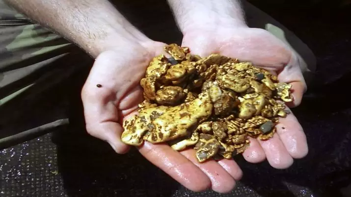 Gold Nuggets (26 장) : 세계에서 가장 큰 기본 금과 러시아에서. 너겟은 자연을 어떻게 보이고 있는지, 어디서 사용됩니까? 23644_4