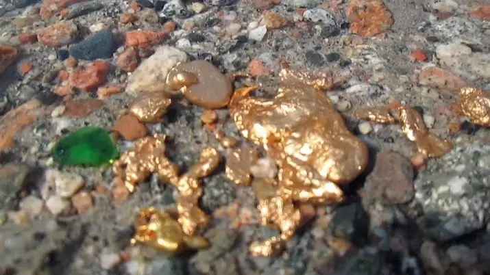 Gold Nuggets (26 foto): ari më i madh vendas në botë dhe në Rusi. Çfarë duken nuggets në natyrë dhe ku janë përdorur? 23644_9