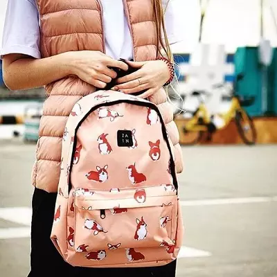 Zain Backpacks: dengan alpukat, corg dan rubah, model hitam dan burgundy, dengan raccats, flamingos dan pisang, ulasan 23678_4