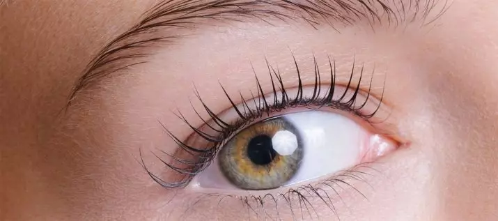 Laminering av korta ögonfransar (13 bilder): Vad ser korta ögonfransar ut efter laminering? Funktioner i proceduren och efterföljande vård 23722_9