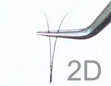 Umehluko phakathi kwama-eyelashes 2d kanye ne-3D (izithombe ezingama-37): umehluko ekwakheni i-classic, umehluko omkhulu ngenani. Yini okungcono ukwanda? 23740_11
