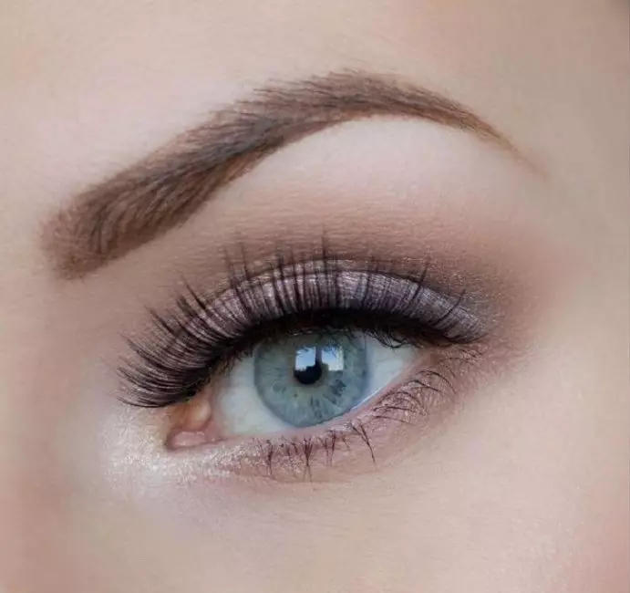 Neformálny make-up modré oči: Ľahký krásny make-up pre každý deň krok za krokom doma. Ako to urobiť s tieňmi? 23961_5