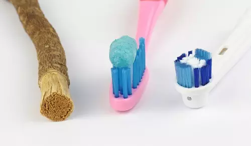 Perché lavarti i denti? 10 foto Perché hai bisogno di essere pulito al mattino e di notte? Cosa succede se non pulire la loro settimana e un mese? Quando la gente ha iniziato a farlo? 24006_3
