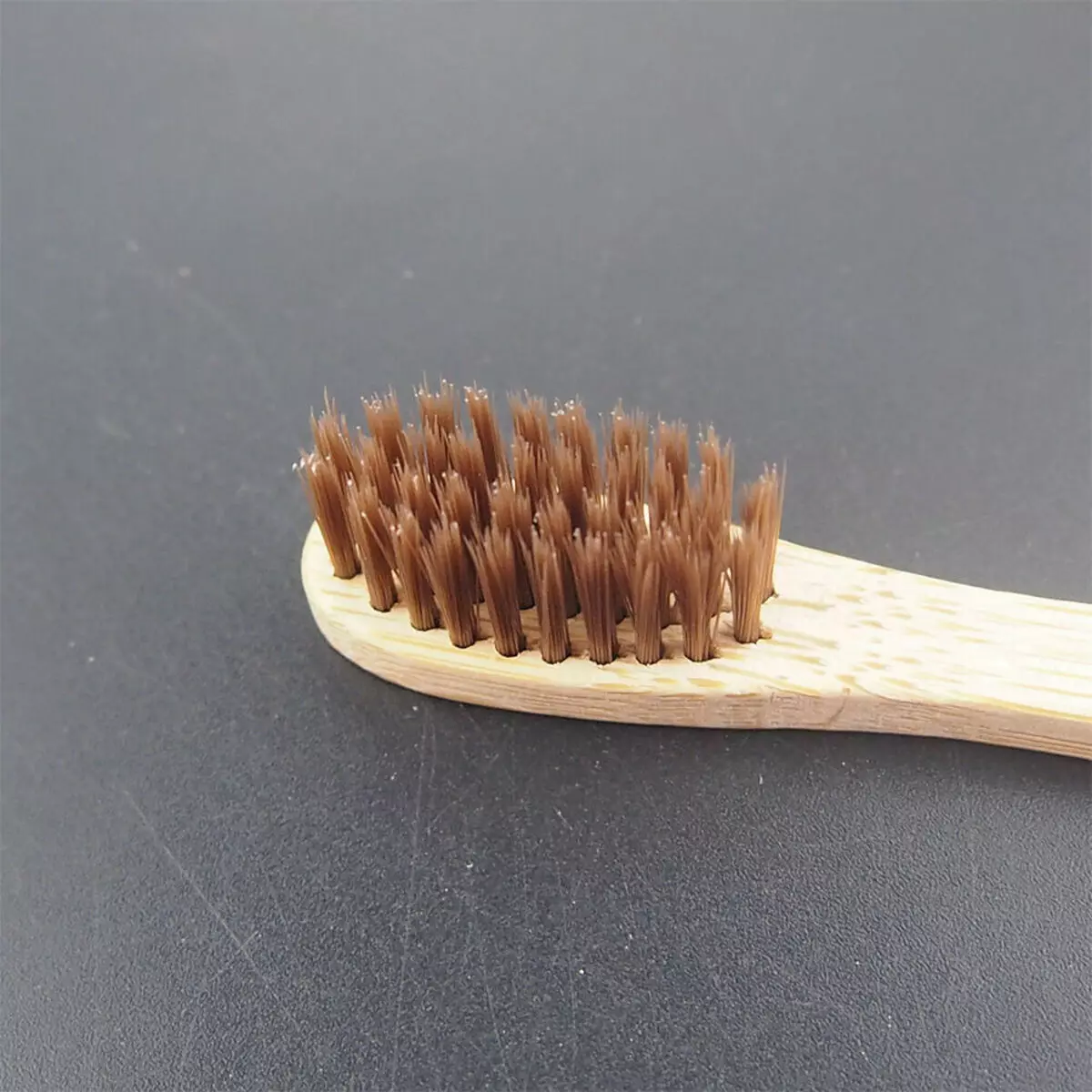 Sikat gigi: kuas terbaik untuk gigi, bambu dan ion, cara memilih, manual dan sekali pakai, spesies lain 24014_29