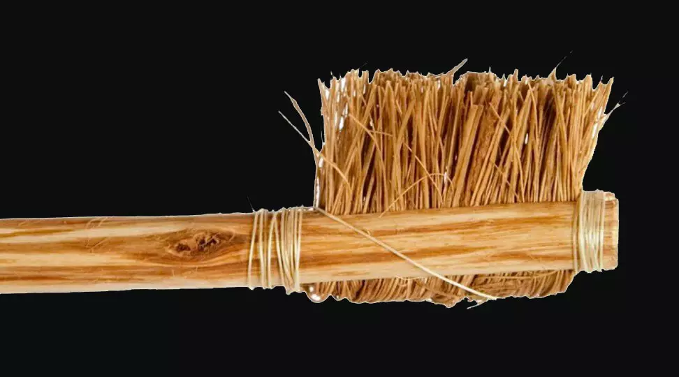 Tandenborstel: de beste borstels voor tanden, bamboe en ionisch, hoe te kiezen, handmatig en wegwerpbaar, andere soorten 24014_3