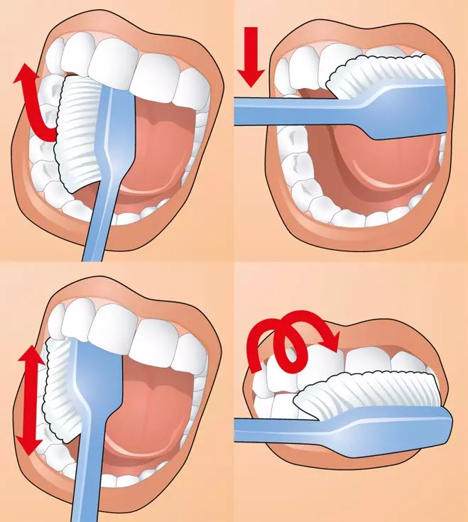 Biomitaj dentbrosoj: arĝenta meza kaj nigra medio kun boa kaj minerala malmola. Funkciaj konsiloj 24023_15