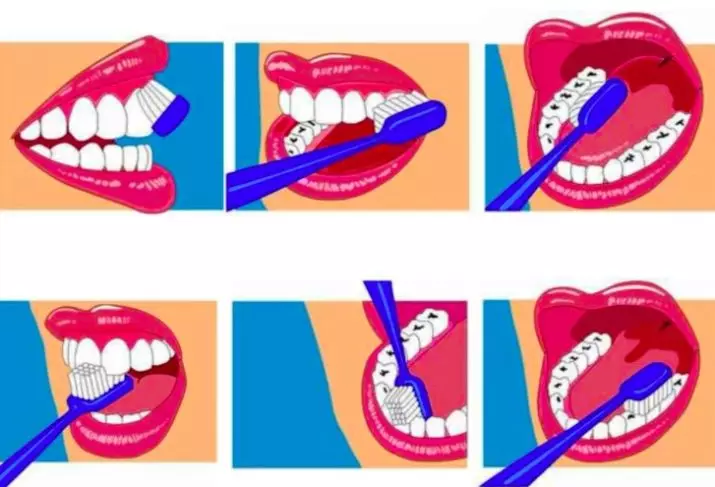 Zubné kefky Splat: Bielenie tvrdé, mäkké a stredné tuhosť, citlivé mäkké, junior, bielenie a iné 24062_32
