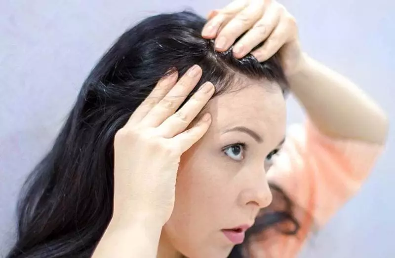 Bagaimana cara menghitamkan rambut Anda di rumah? Mekar di rumah tanpa membahayakan rambut. Bagaimana cara meringankan ikal hitam ke alat profesional? 24198_7