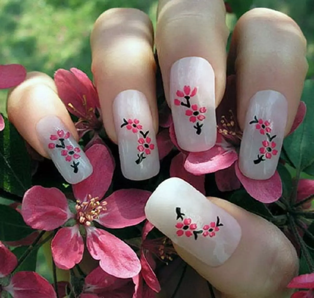 Сакура на ногтях. Красивые цветы на ногтях. Маникюр с цветочками. Весенние ногти. Цветы Сакуры на ногтях.