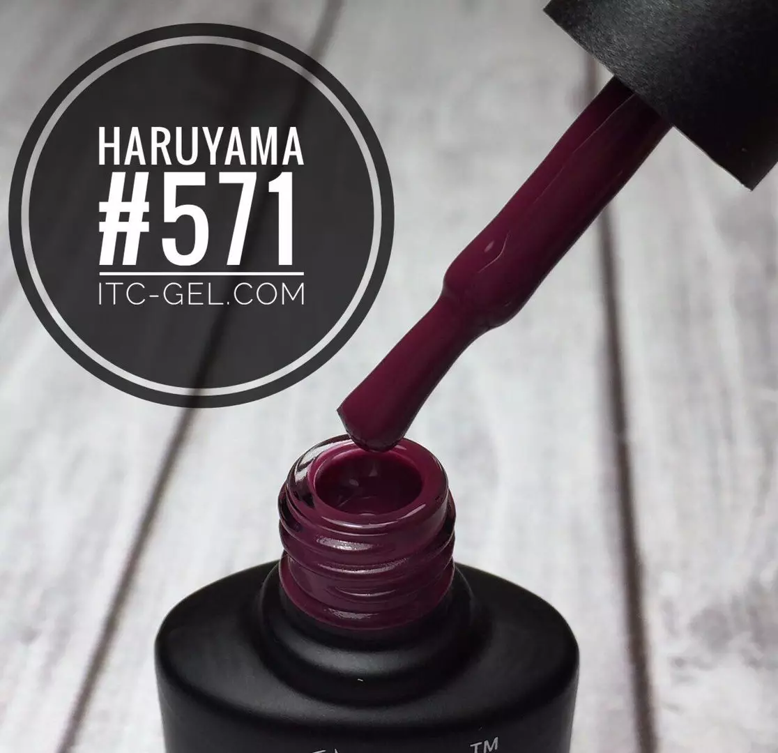Haruyama Gel Lacquer（44張照片）：花卉調色板，評論大師 24269_15
