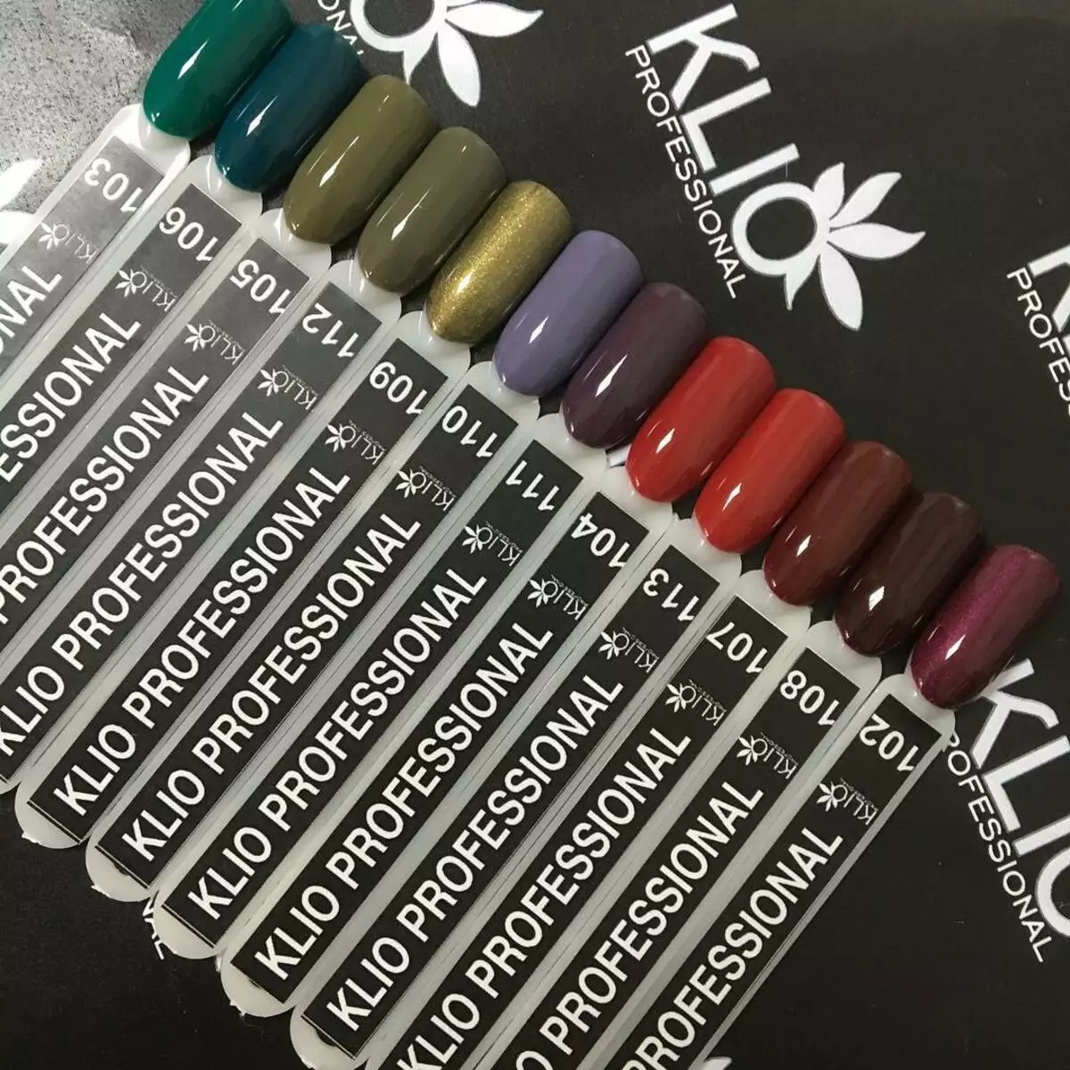 Klio Professional Gel အရောင်တင်ဆီ - ပန်းပွင့်များ၏ palette သည်သခင်များ၏အရောင်တင်ခြင်းနှင့်ပြန်လည်သုံးသပ်ခြင်း 24272_9