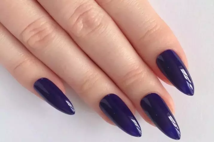 GLOSS GEL LACQUER: verniċ karatteristika, paletta kulur, reviżjonijiet 24276_7