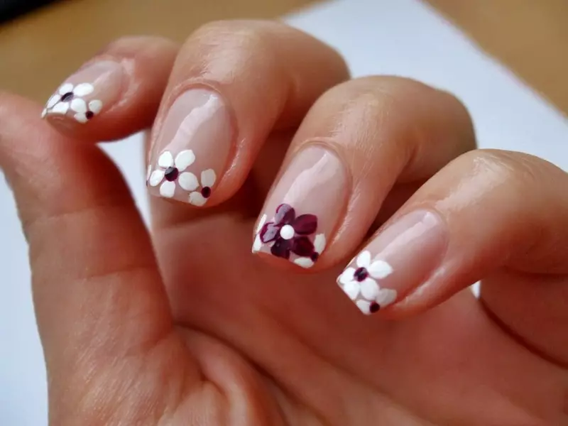 Pháp làm móng tay Shellac (72 ảnh): Làm thế nào để thiết kế móng tay Pháp ở nhà? Tùy chọn với lớp phủ đơn giản và có hoa văn 24353_31