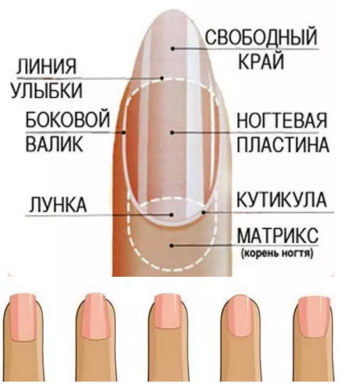 Manicure manicure (165 hotuna): ƙayyadaddun ƙusa tare da launi mai launin varnish da caramel, beige mai ƙarfi zaɓi 24373_72