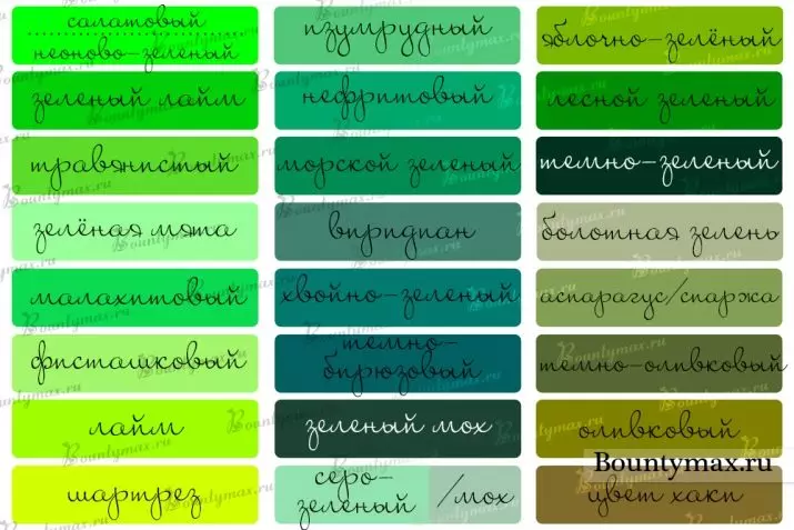 Manicure em cores verdes (38 fotos): características de design de unhas 24447_8