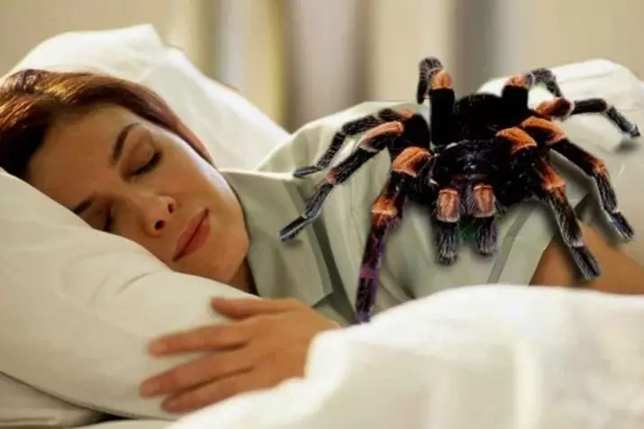 Arachnofobia: Mikä se on? Kuinka päästä eroon hämähäkkien pelosta? Mitkä ovat arachnofobian oireet? 24537_10