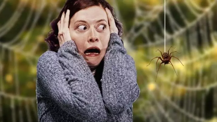 Arachnofobia: nó là gì? Làm thế nào để thoát khỏi nỗi sợ nhện? Các triệu chứng của Arachnophobia là gì? 24537_7