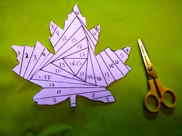 Iris Folding (52 photos): What is it? Schemes and templates, technicians and master classes of making cards, the most interesting crafts 24592_3