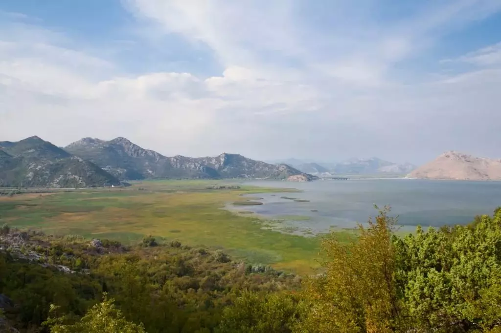 Skadar Lake (60 fotos): Excursións nas proximidades do lago Shkoder. Como o peito en Montenegro por si mesmo en coche? 24687_17