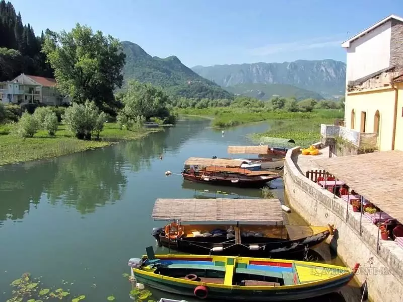 Skadar Lake (60 foto): escursioni nelle vicinanze del lago Shkoder. Come petto in Montenegro da solo in auto? 24687_25