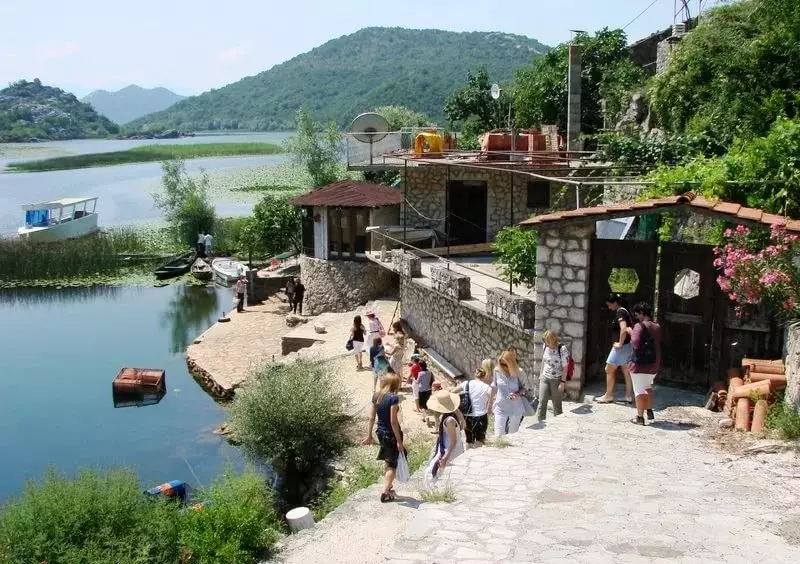 Skadar Lake (60 fotos): Excursións nas proximidades do lago Shkoder. Como o peito en Montenegro por si mesmo en coche? 24687_28