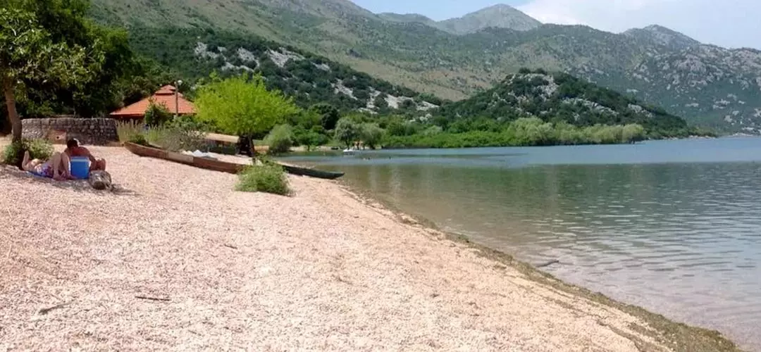 Skadar Lake (60 bilder): Utflykter i närheten av sjön Shkoder. Hur bröst i Montenegro på egen hand med bil? 24687_35