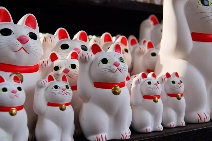 Maleki-Нехао: Стойността на котката е късмет, японски котка статуетки с вдигна дясната и лявата лапа. Защо е по-коте маха лапа? Къде да сложите фигура? 24827_17