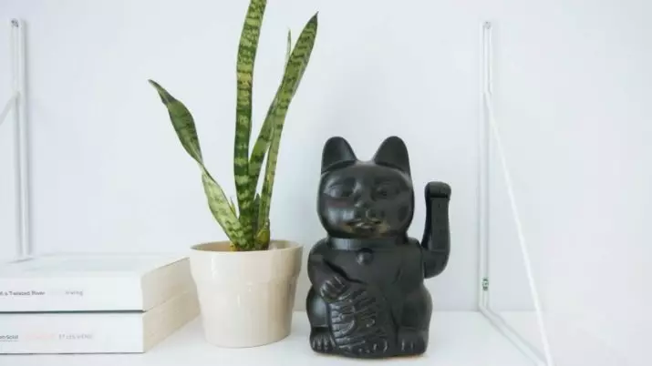 Maleki-Neco. Կատուների արժեքը հաջողություն է, ճապոնական կատուների արձանագրությունները բարձրացված աջ եւ ձախ թաթով: Ինչու է քիթը ծածանավ իր թաթը: Որտեղ տեղադրել գործիչ: 24827_22