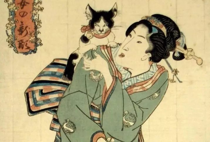 Малеки-Нецо: Вредност мачке је срећа, јапанске мачке статуете са подигнутим десном и левом шапом. Зашто је маца машена својим шапом? Где ставити фигуру? 24827_6