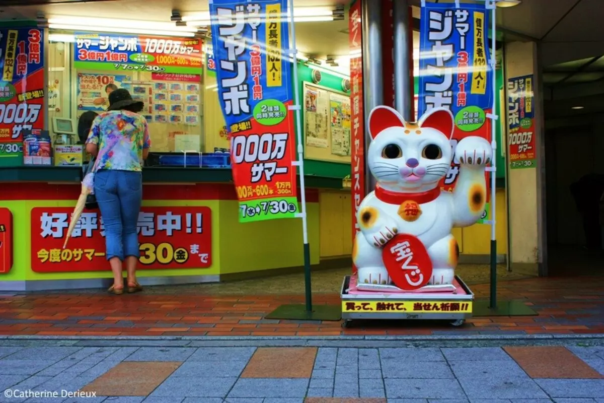 Maleki-Neco. Կատուների արժեքը հաջողություն է, ճապոնական կատուների արձանագրությունները բարձրացված աջ եւ ձախ թաթով: Ինչու է քիթը ծածանավ իր թաթը: Որտեղ տեղադրել գործիչ: 24827_9