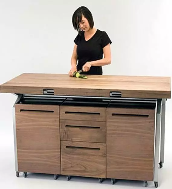 Kuhinjski radnici stolovi (49 fotografija): stolovi za sječenje za kuhinje za kuhinje iz naslova, proizvodnja profesionalni stolovi s policama i drugim opcijama 24846_36