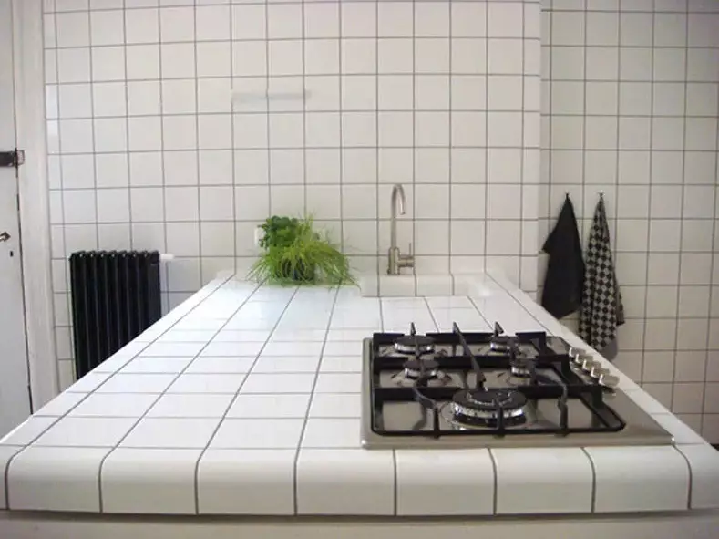 Kontsesstop plaadist köögis (35 fotot): keraamiline köök countertop mosaiik ja muud võimalused. Mida valida? 24898_33